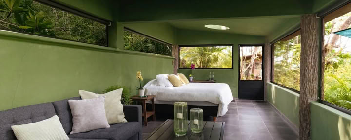 Ahymsa Suite