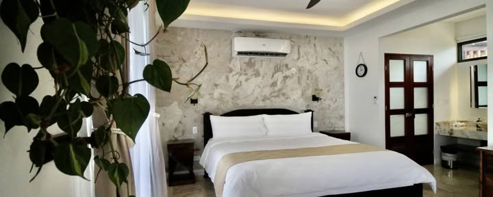 The Canopy Suite (King Bed)
