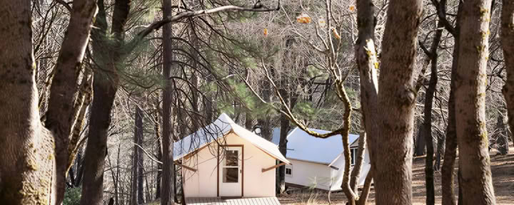 Bungalow - Garden Bungalows