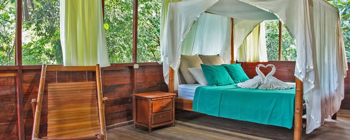 Jungle Suite met Queensize Bed