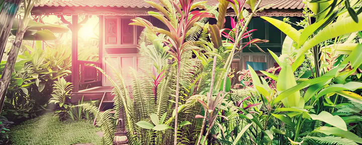 Family Suite – LOTUS