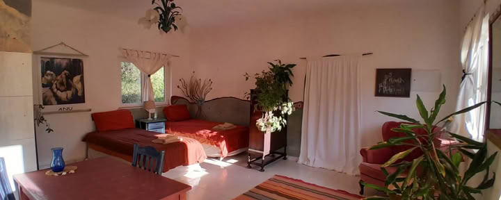 Love Birds Studio Apartment