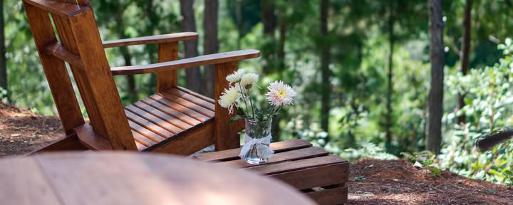 Privéhut met eigen badkamer, terras en uitzicht op het bos