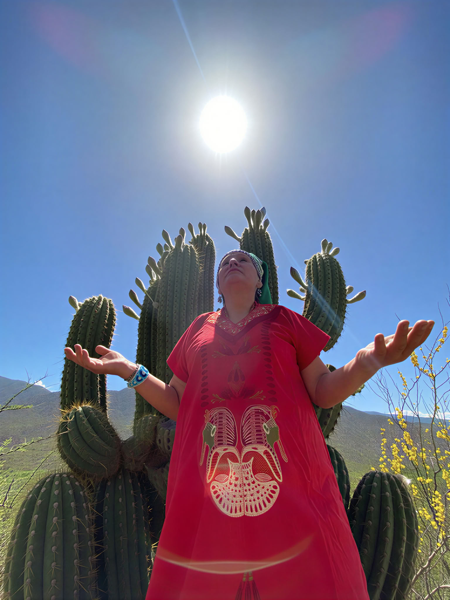 Mamacuna