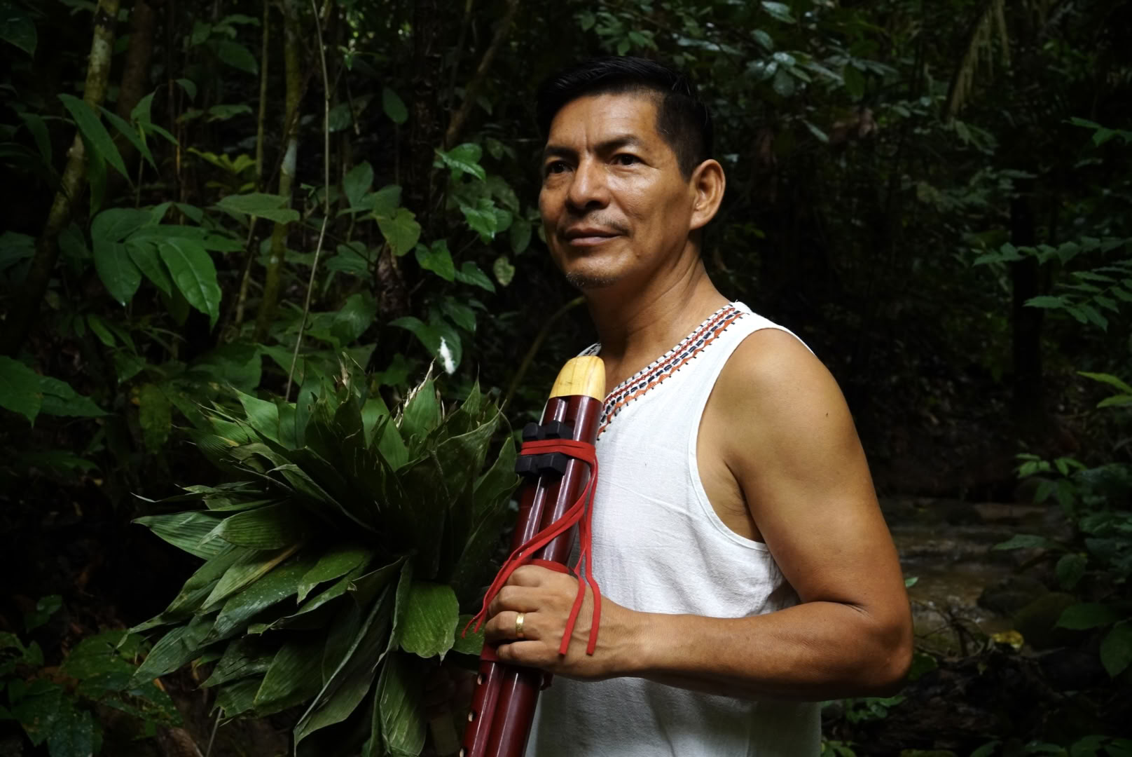 Moisés Llerena Taricuarima