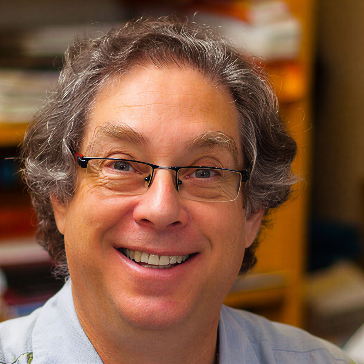 Larry Mermelstein