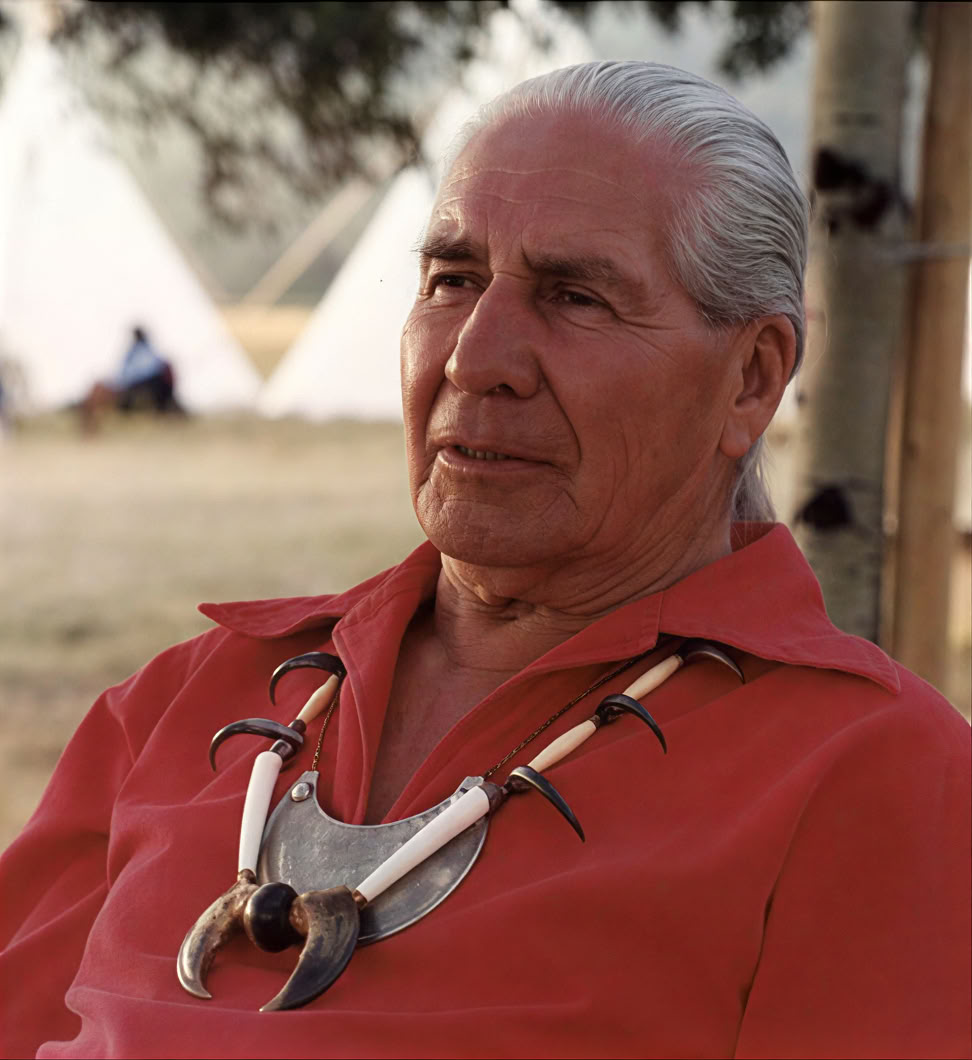 Chief Oren Lyons